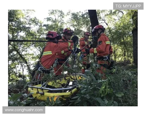 科学极限运动的个人能力提升训练方法与技巧探讨