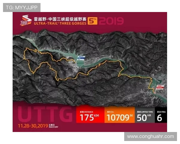 V5战队的崛起之路:从磨砺到辉煌的全景回顾